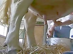 She gets fucked in the barn by a big cock