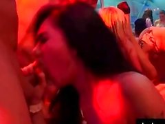 Bitchy pornstars fuck in club